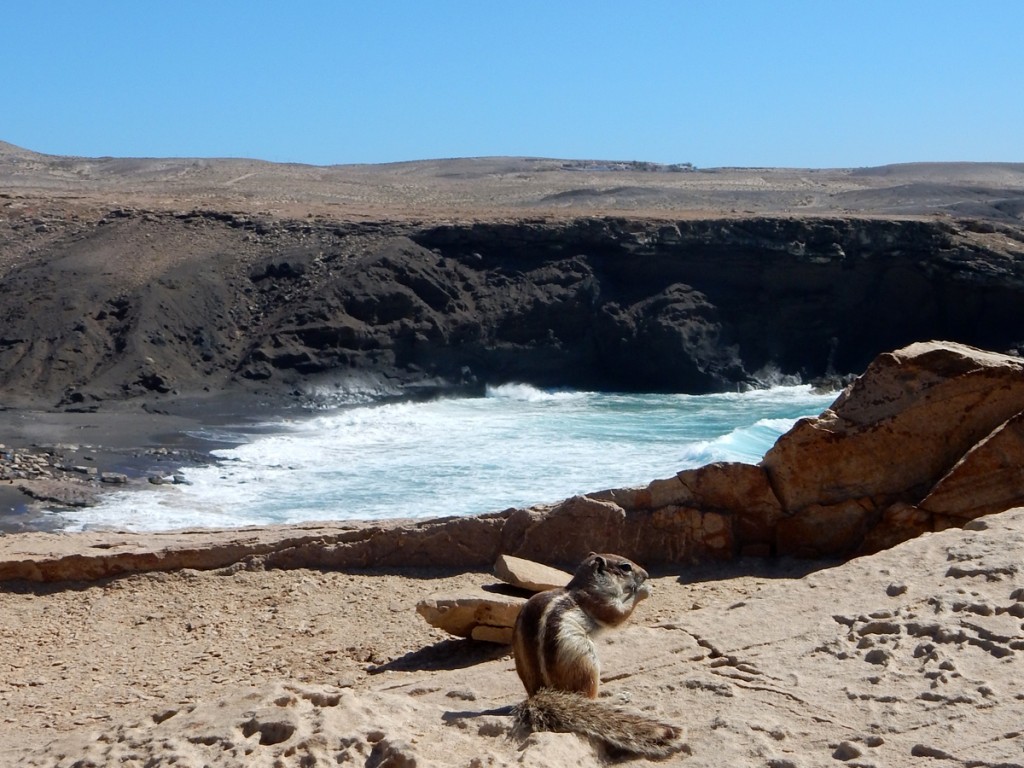 Bucht in La Pared