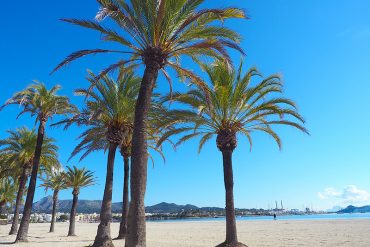 Mallorca - Alcudia, Strand