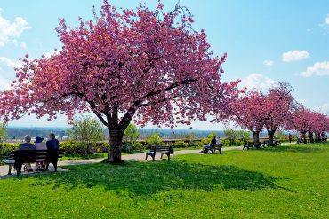 Dachau - Kunst & Kultur